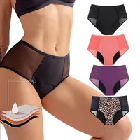Menstrual Underwear for Ladies, Leakproof Mesh Pants