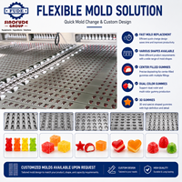 Volledig automatische gummy-maakmachine voor de productie van fruit-sap gummy's & vitamine gummy's