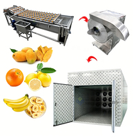 China Voedsel Droogapparatuur Mango Citroen Sinaasappel Banaan Fruit en Groente Droogmachine