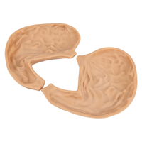 Modèle d'entraînement à l'anastomose gastrique en silicone, modèle d'organe gastrique divisé pour la pratique de la suture gastro-intestinale