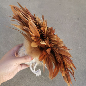 Tiras <span class=keywords><strong>de</strong></span> Plumas <span class=keywords><strong>de</strong></span> Gallo Rojas Naturales <span class=keywords><strong>de</strong></span> 6-8 cm, Venta al Por Mayor <span class=keywords><strong>de</strong></span> Fábrica, Ideales para Prendas <span class=keywords><strong>de</strong></span> Vestir, Ropa y Decoraciones Hechas a Mano Multicolores - Product Image 5