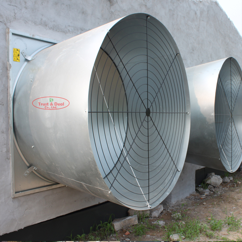 Automatic broiler / chicken / poultry pan feeding line