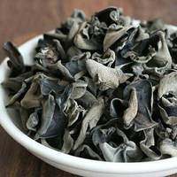 Hongo comestible salvaje de CHINA, seta negra