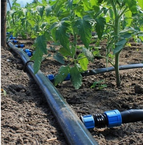 Sistema de Irrigação por Gotejamento para 1 Hectare, Irrigação de 16mm 2L/H 3L/H para Agricultura em Fazendas e Jardins, Fita de Gotejamento - Product Image 1