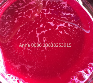 Prensa Hidráulica de Acero Inoxidable para Vino de Uva y Bayas - Product Image 6