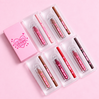 Ensemble de gloss et de crayons à lèvres OEM ODM, végan, waterproof, kit de maquillage pour les lèvres personnalisé avec étiquette privée