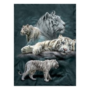 <span class=keywords><strong>Impression</strong></span> <span class=keywords><strong>lenticulaire</strong></span> d'<span class=keywords><strong>image</strong></span> de tigre 3D - Product Image 1