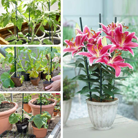 Bâtons de jardin en bois, 10 pièces, bâtonnets verts de plantes en pot, artisanat de plantes en pot