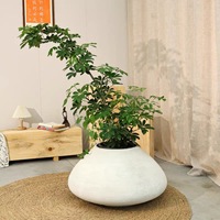 Grand pot en fibre de verre blanc texturé, jardinière décorative pour villa, idéal pour l'affichage de grands arbres en intérieur
