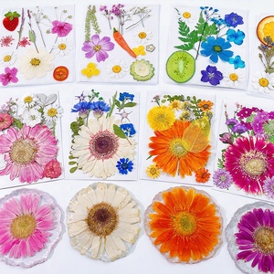 DM746 Fleurs séchées fraîchement pressées, fruits, feuilles naturelles, accessoires pour la fabrication de bougies, de savons et de décorations en résine DIY - Product Image 3