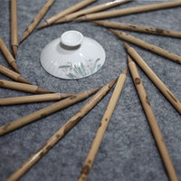 Ensemble de pinceaux écologiques pour artistes, outils de peinture durables