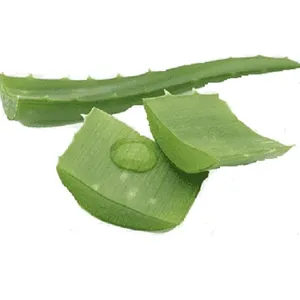 Migliore qualità e prezzo Gel di Aloe Vera per la pelle secca naturale di Aloe Vera Gel di Aloe biologico Gel direttamente dal fornitore indiano