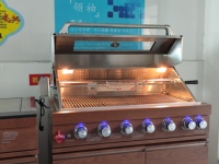 Cuisine extérieure complète avec évier, réfrigérateur à double porte et barbecue au gaz, utilisation domestique en jardin, robuste, imitation bois, éclairage LED