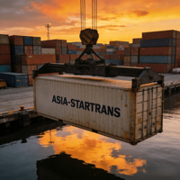 Agente de Transporte Marítimo DDU DDP Más Económico, Logística FBA, Agente de Envío de Comercio Electrónico de China a México