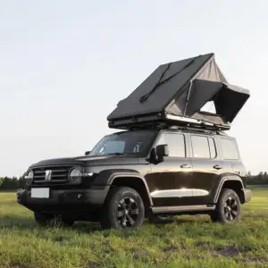 Remaco Aluminium Triangle Camping Golden Supplier OEM Rooftop Tents 4 Person Black Tente De Toit Hardshell RTT Roof Top Tent