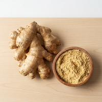 Poudre de gingembre séché de qualité supérieure, naturelle, de qualité alimentaire, mélange d'épices et d'herbes, qualité export en vrac