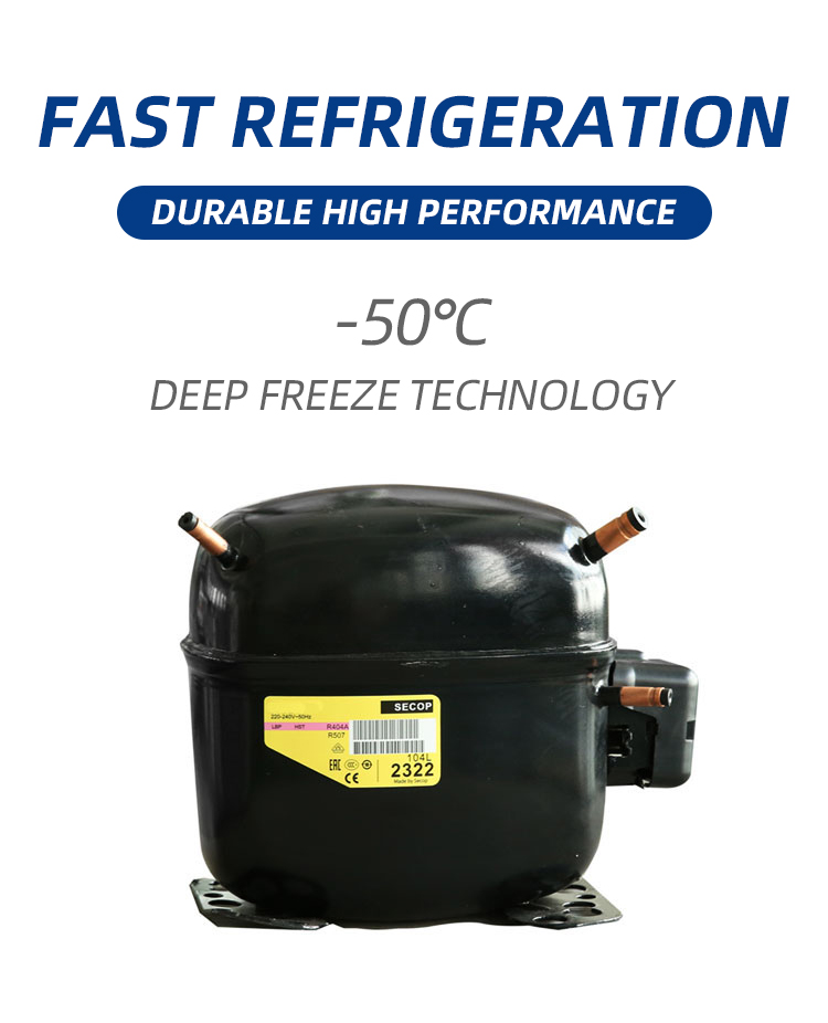 6Kg 8Kg Mini Vacuum Lyophilizer Compressor Vacuum Pump Small Household Freeze Dryer