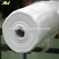 Rouleau de tissu non tissé PP tissu de protection contre le gel polaire de jardin couverture végétale agricole d'hiver