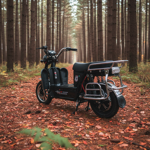 Motocicleta Eléctrica de Carga Pesada Tianneng <span class=keywords><strong>King</strong></span> 2.ª Gen. para Exportación, Ideal para Zonas Montañosas y Subidas de Colinas, 5000W, Litio - Product Image 6