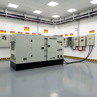 Generador Diésel Súper Silencioso Trifásico de 100KW 160KW 200KW 250KVA 300KVA con Motor ATS Refrigerado por Agua