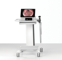 Système de stroboscopie et de laryngoscopie portable IKEDA YKD-9671S - Caméra Full HD et écran 15,6 pouces pour la chirurgie ORL