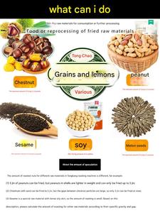 बहुक्रियाशील ड्रम रोस्टिंग मशीन - Product Image 2