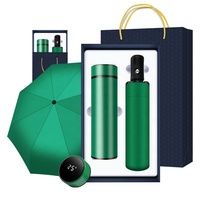 Set de Regalo de Botella de Agua LED 2 en 1 de Acero Inoxidable con Logotipo Personalizado y Paraguas de Apertura Automática - Impresión Serigráfica Económica para Empresas