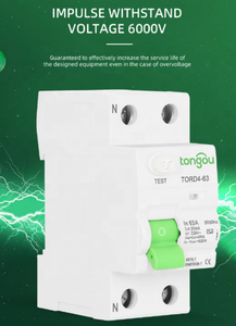 Nuevo protector de fugas Disyuntor de fuga hogar 2P63A interruptor de protección contra fugas tipo CA - Product Image 4