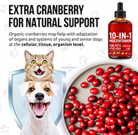 Gouttes liquides multivitaminées 10-en-1 pour chiens et chats de toutes tailles – Soutien bien-être aux baies de sureau, canneberge et myrtille – 2 oz, 1200 gouttes