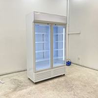 Réfrigérateur commercial à double porte à froid direct pour boissons et colas, avec fonction de présentation et de refroidissement des aliments