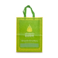 Sac à provisions non tissé d'impression pp personnalisé vide