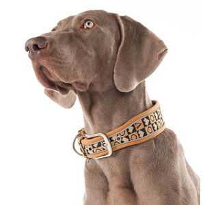Collar de perro básico de alta calidad con hebilla de alfiler, Collar de cachorro bordado ajustable, Collar de cachorro de tela transpirable de diseñador a la moda - Product Image 1
