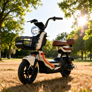 Vélo Électrique Urbain Rétro en Gros <span class=keywords><strong>d</strong></span>'Usine 48V 60V 72V 20Ah 14 Pouces Frein à Disque Avant Deux Places avec Grand Panier pour Adultes - Product Image 1