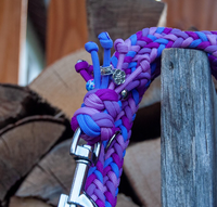 Laisse pour chien en paracorde tressée, couleur violette, avec logo personnalisé, en nylon durable, pour animaleries et salons de toilettage