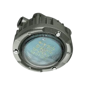 2020 OHBF8230 10w 20w 30w ATEX outdoor flame proof light Ex d IIC T6 explosion proof light perlengkapan dengan harga pabrik