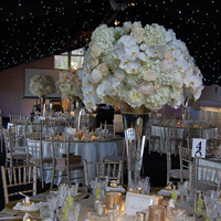 Arches de fleurs artificielles pour mariage, arches de fleurs blanches, fleurs décoratives pour événements, boules de fleurs pour mariage
