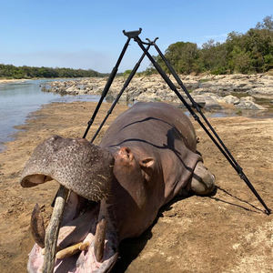 Bâton de chasse et de tir en aluminium à 4 pieds, couleur camouflage, super léger, hauteur réglable jusqu'à 180 cm - Product Image 4