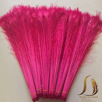 Plumes de paon blanchies et teintes en rose de 30 à 35 pouces, en vrac, pour costumes de carnaval