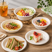 Assiettes et bols jetables écologiques compostables en bagasse de canne à sucre 6/7 pouces 350ml-1000ml, carton de 1000 pièces pour fêtes