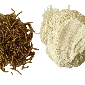 Mangime per animali in polvere per insetti in polvere di proteine di vermi della farina sgrassata pura al 100% per uso alimentare