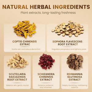 Desodorante Corporal Natural em Tamanho Viagem Controle de Odor Duradouro por 21 Dias Sem Alumínio Sem Bicarbonato Orgânico <span class=keywords><strong>Spray</strong></span> Desodorante Masculino - Product Image 4