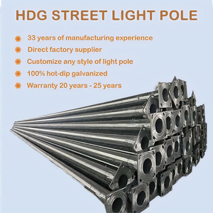 ไฟถนนโซลาร์เซลล์แบบไฮบริด HTY กำลังไฟ 50W 60W 80W 100W พร้อมเสาเหล็กเคลือบสีฝุ่น ทนทาน ใช้งานได้ยาวนาน 20 ปี - Product Image 2