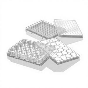 แผ่น <span class=keywords><strong>PCR</strong></span> <span class=keywords><strong>96</strong></span> หลุม Yuanze SYS-02 ขนาด 0.2 มล./0.4 มล./0.5 มล. ผลิตจากโพลีโพรพิลีนขึ้นรูปด้วยการฉีด พร้อมขอบและดัชนีตัวอักษร-ตัวเลข สำหรับเครื่อง Thermal Cycler - Product Image 6