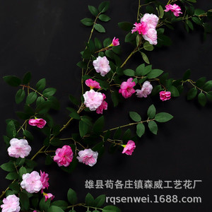 ดอกกุหลาบประดิษฐ์สีชมพูขาว ทำจากพลาสติก สำหรับตกแต่งผนังบ้าน - Product Image 1