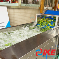 Machine de lavage automatique de légumes à convoyeur, pour l'immersion des oignons, bain de lavage commercial pour l'industrie alimentaire