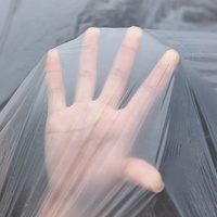 Usine PE Transparent En Plastique Jetable Couverture De Voiture S M L LL Temporaire Universel Pluie Poussière Garage avec Bande Élastique Moyen