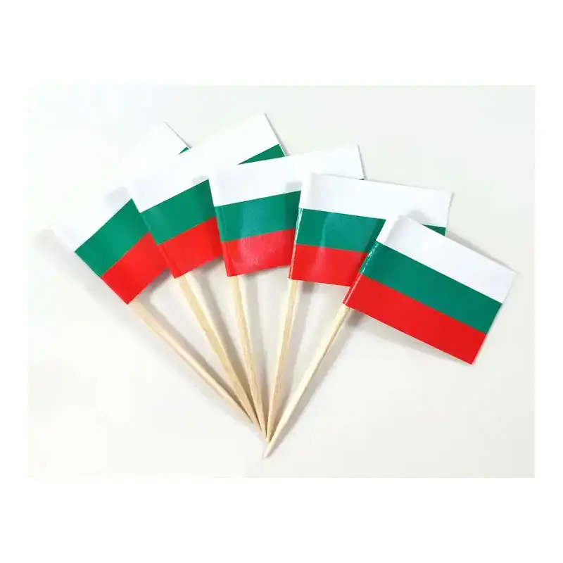 Stile personalizzato più popolare 2.5*3.5 CM doppi lati stampa cibo Bulgaria paese bandiera stuzzicadenti