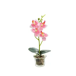 Оптовая продажа, небольшие прозрачные горшки орхидеи Cymbidium из прозрачного пластика, недорогие миниатюрные искусственные цветы, искусственная Орхидея