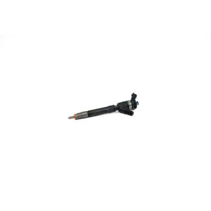Injecteur adapté à RENAULT 166105302R Injecteur - Product Image 1