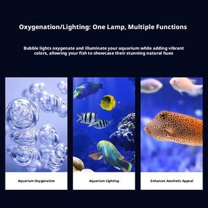 Lampe <span class=keywords><strong>LED</strong></span> submersible pour <span class=keywords><strong>aquarium</strong></span>, 7 couleurs, avec aérateur, ventouses étanches, basse tension pour aquariums - Product Image 5